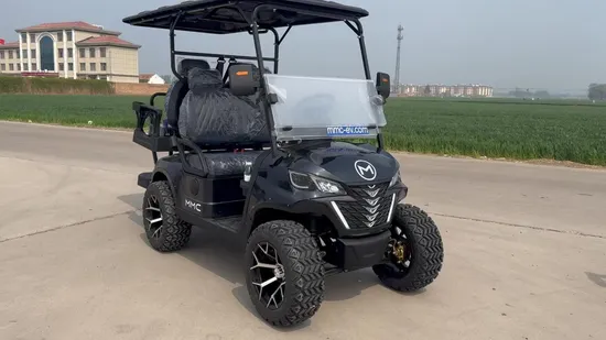 Lightweight Travel Oxygen Concentrator Outdoor Car Oxygen Concentrator with Battery Mini Portable 1L 3L 10L Generator Price Pulse Portable Oxygen Concentrator